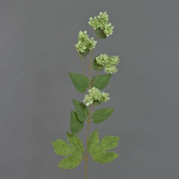 Umělá větev chmelu AXEL s květy, zelená, 65cm
