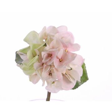 Umělá hortenzie CHIDORI, krémovo-růžová, 30cm, Ø13cm