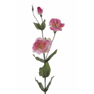 Umělá jícnovka NOWA, růžová, 80cm, Ø7cm