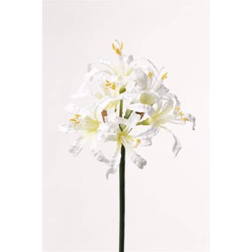 Umělá květina nerine MONJA, bílá, 70cm, Ø12cm