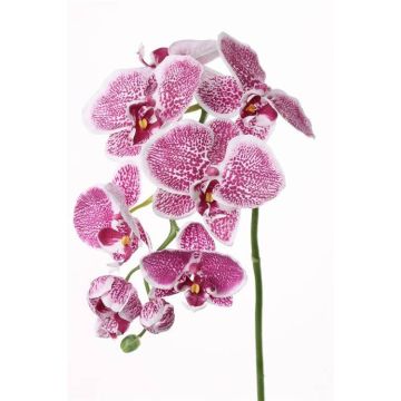 Umělá větev orchideje phalaenopsis CEDRA, fialovo-bílá, 75cm