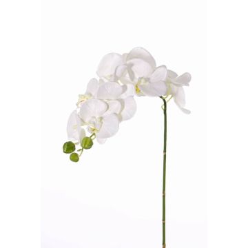 Umělá větev orchideje phalaenopsis GALINA, krémová, 45cm