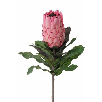 Umělá květina protea NELLI, růžová, 75cm, Ø8cm