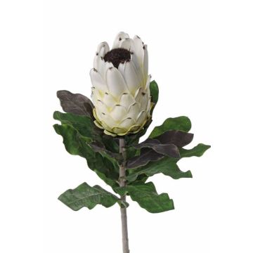 Umělá květina protea NELLI, bílo-žlutá, 75cm, Ø8cm