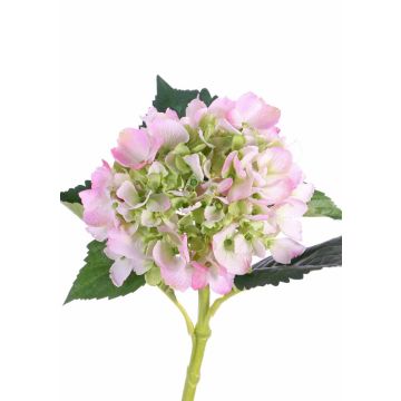 Umělá květina hortenzie NICKY, růžovo-zelená, 50cm, Ø15cm