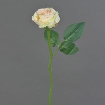 Textilní květina růže GABI, krémovo-růžová, 25cm, Ø5cm