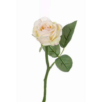 Textilní květina růže GABI, krémovo-růžová, 25cm, Ø5cm