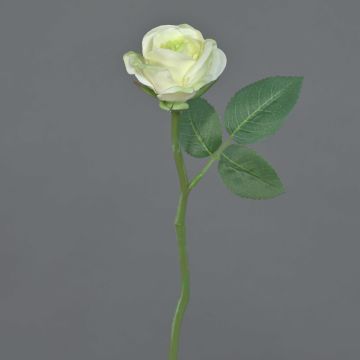 Textilní květina růže GABI, krémovo-zelená, 25cm, Ø5cm