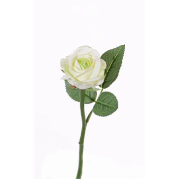 Textilní květina růže GABI, krémovo-zelená, 25cm, Ø5cm