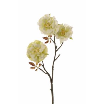 Umělá větvička růže stolistá ARYLA, zelená, 35cm, Ø5cm