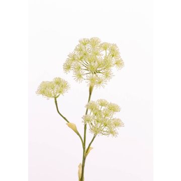 Umělá květina bolševník ABDEROS, krémová, 105cm, Ø12-20cm