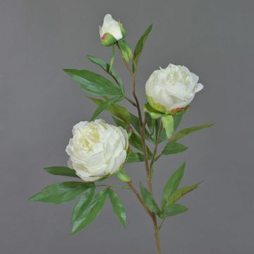 Umělá větvička pivoňky MANJA, bílá, 70cm, Ø8-10cm