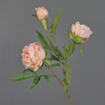 Umělá větvička pivoňky MANJA, růžová, 70cm, Ø8-10cm