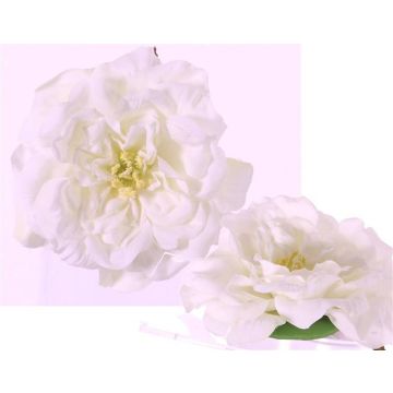 Umělý květ růže SASKIA, plovoucí, krémová, 5cm, Ø15cm