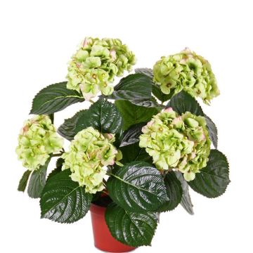 Umělá květina hortenzie TEMARI, zelená, 35cm, Ø10-12cm