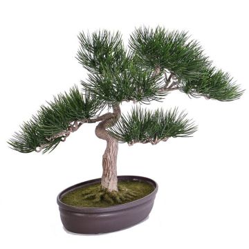 Umělý strom bonsai pínie ARATA, s kořeny, v dekorační míse, 45cm