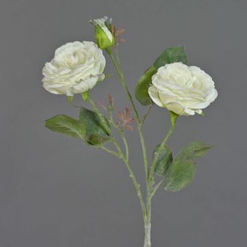 Umělá větvička růže stolistá MADITA, zasněžený, krémová, 60cm, Ø9cm