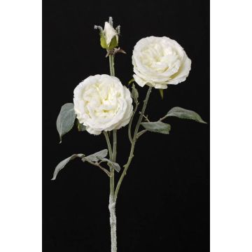 Umělá větvička růže stolistá MADITA, zasněžený, krémová, 60cm, Ø9cm