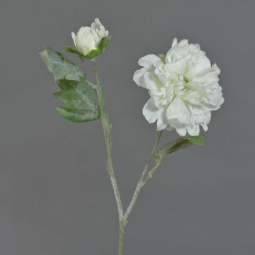 Umělá pivoňka MALINE, zasněžená, krémová, 60cm, Ø12cm