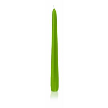 Špičatá svíčka PALINA, zelená, 25cm, Ø2,5cm, 8h - Made in Germany