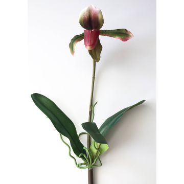 Umělá orchidej střevíčník VELANA, se zápichem, fialovo-zelená, 40cm