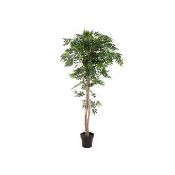 Longifolia CAYA umělý strom, umělý kmen, 165 cm