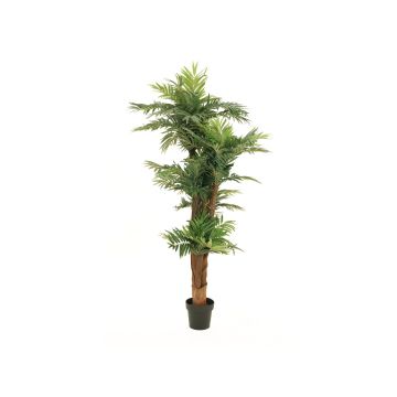 Umělá palma Areca CYNTHIA, 170 cm