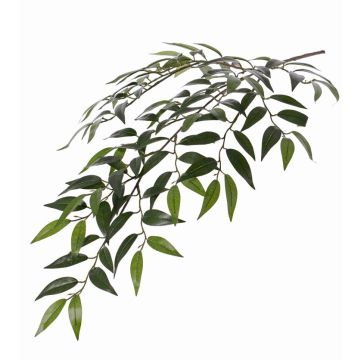 Umělá větev Smilax JURIA, zelená, 70cm