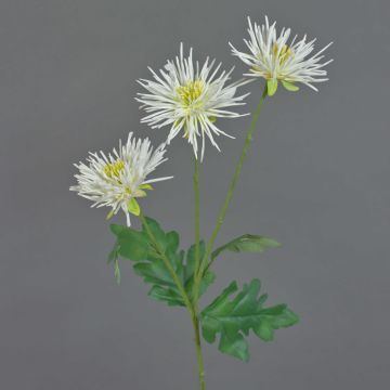 Umělá chryzantéma SOLVIE, krémová, 70cm, Ø10cm