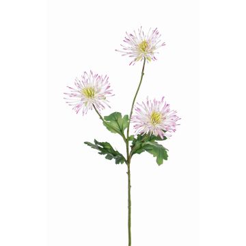 Umělá chryzantéma SOLVIE, bílo-růžová, 70cm, Ø10cm