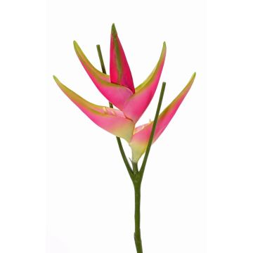 Umělý květ helikonie TOMKE, růžovo-zelený, 80cm, Ø30cm