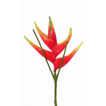 Umělý květ helikonie TOMKE, červeno-zelený, 80cm, Ø30cm