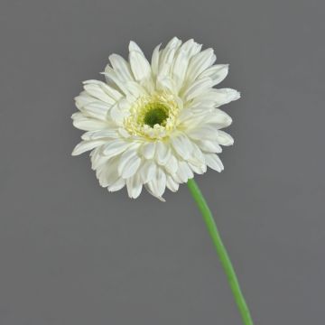 Textilní gerbera HELLI, krémová, 65cm, Ø12cm