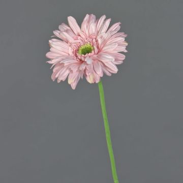 Textilní gerbera HELLI, růžová, 65cm, Ø12cm