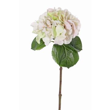 Plastová hortenzie CHIDORI, krémově růžová, 60cm, Ø20cm