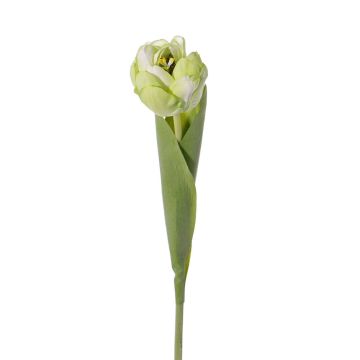 Umělý tulipán ROMANA, zelenobílý, 45cm, Ø6cm