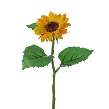 Umělá slunečnice CELLY, žlutá, 35cm, Ø8cm