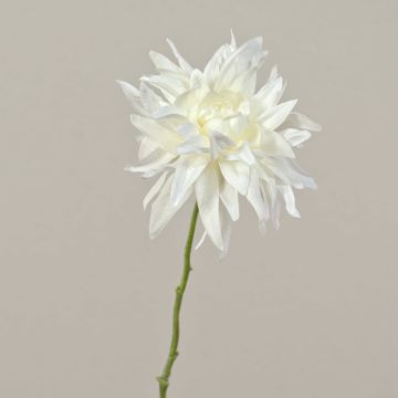 Umělá jiřinka SMILA, krémová, 55cm, Ø12cm