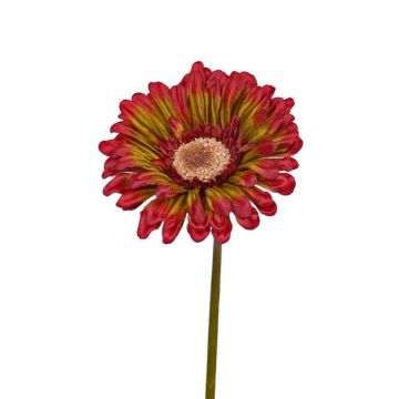 Umělá gerbera ANNEMARIE, červeno-zelená, 50cm, Ø10cm