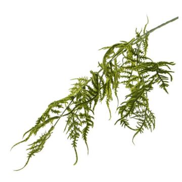 Art Asparagus plumosus větev CHRISTIAN, zelená, 85cm