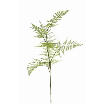 Umělá větev Asparagus plumosus HAYDON, zelená, 85 cm