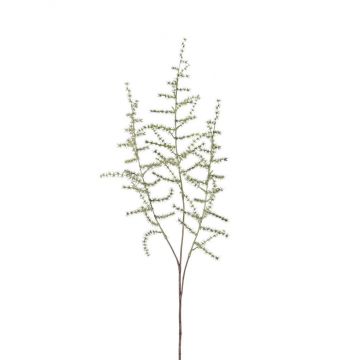 Umělá větev Asparagus acutifolius HANS, zelená, 70cm