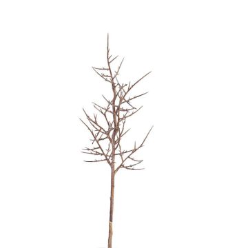 Umělá větvička kristova koruna OTTO, hnědá, 75 cm