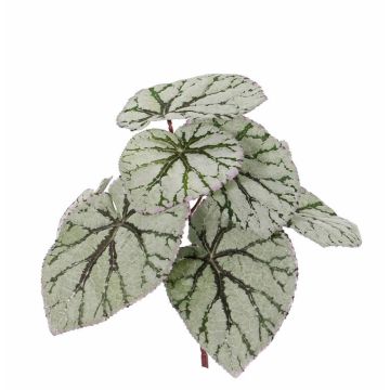 Umělá listová begonie KATRICE na zápichu, zeleno-šedá, 25cm