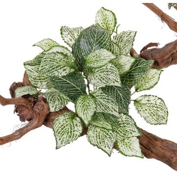 Umělá mozaiková rostlina MOLARA na zápichu, zeleno-bílá, 25cm
