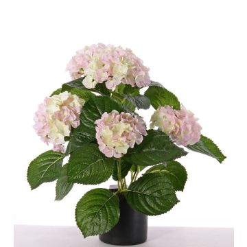Umělá květina hortenzie TEMARI, bílo-růžová, 35cm, Ø10-12cm