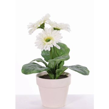 Umělá gerbera SIMONE v dekoračním květináči, bílá, 30cm, Ø9,5cm