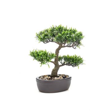 Plastový bonsai Podocarpus GOYA v misce, 30cm