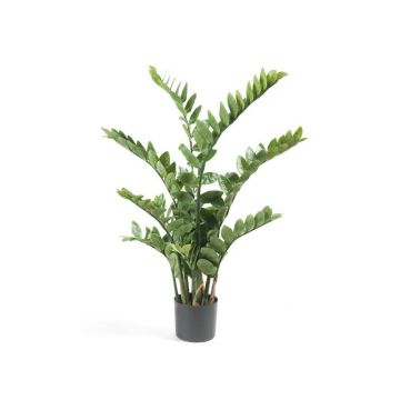 Umělá rostlina zamioculcas SIMANO, 110cm