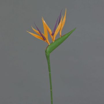 Umělá květina strelícia ZETKIN, oranžovo-fialová, 65cm, 10x13cm